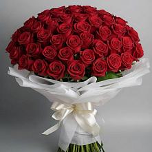 Букет 101 Красная роза Блэк Мэджик в Малеевке