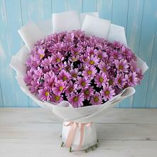 Букет цветов из:  Хризантемы #REPLACE_PRED# Малеевке