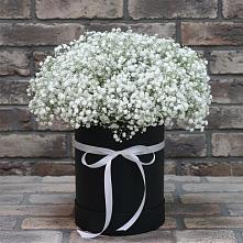 Цветочная композиция из Гипсофила в шляпной коробке в Малеевке