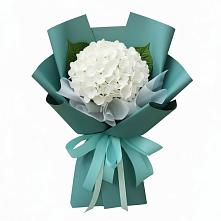 Букет цветов из:  Гортензия #REPLACE_PRED# Малеевке